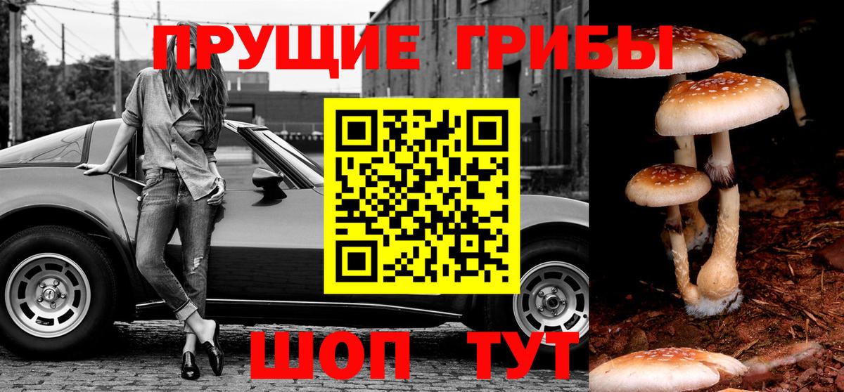 Галлюциногенные грибы Cubensis Ковров